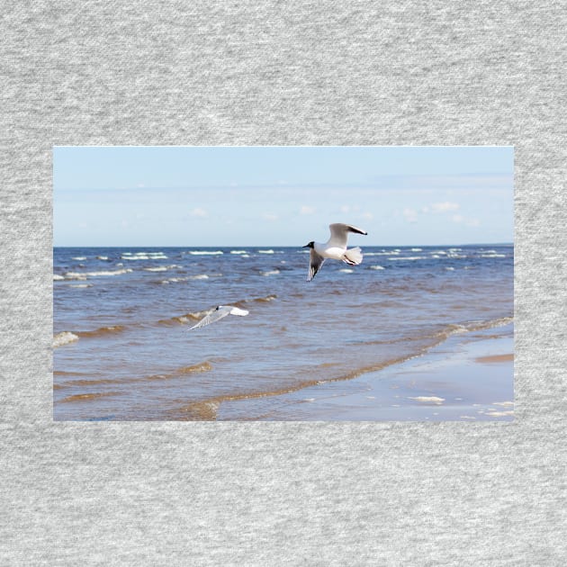 Two seagulls flying above the water by lena-maximova